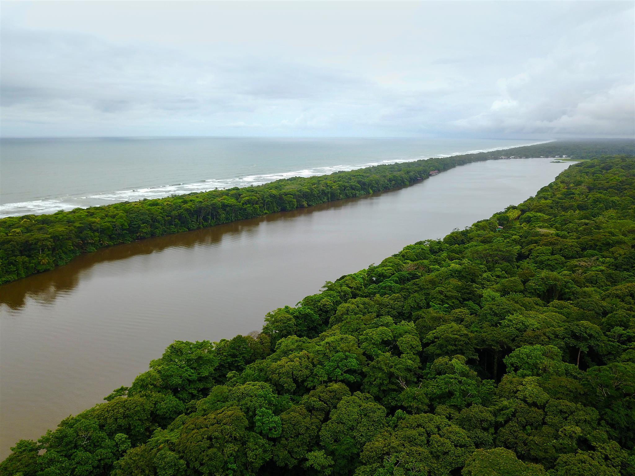 Laguna Lodge Tortuguero Exterior photo