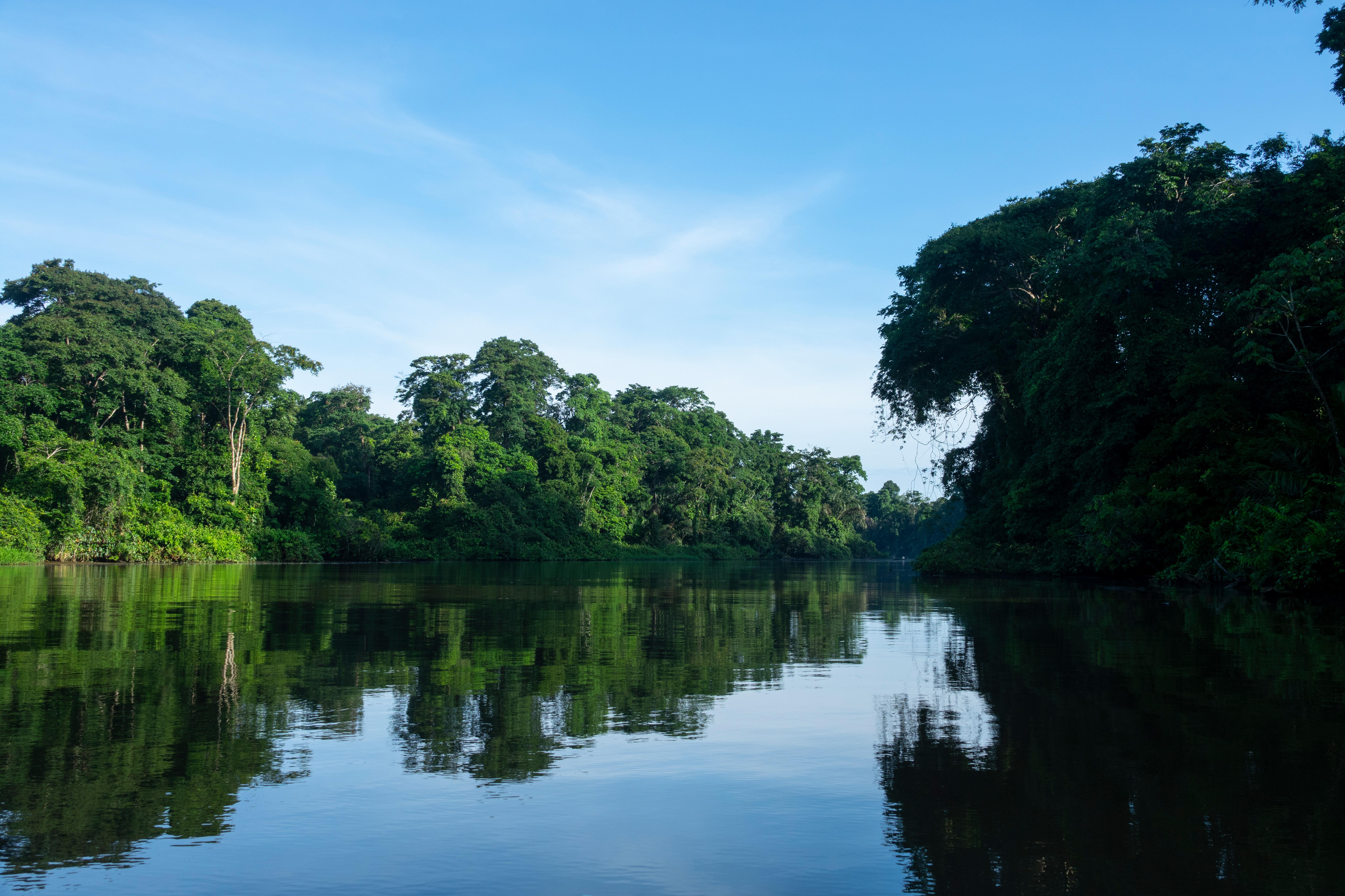 Laguna Lodge Tortuguero Exterior photo