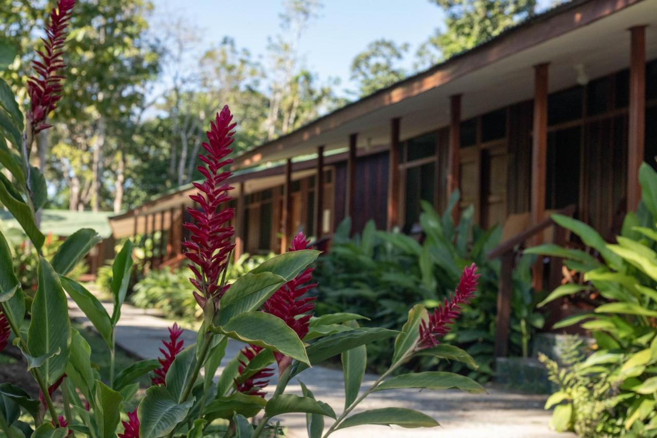 Laguna Lodge Tortuguero Exterior photo