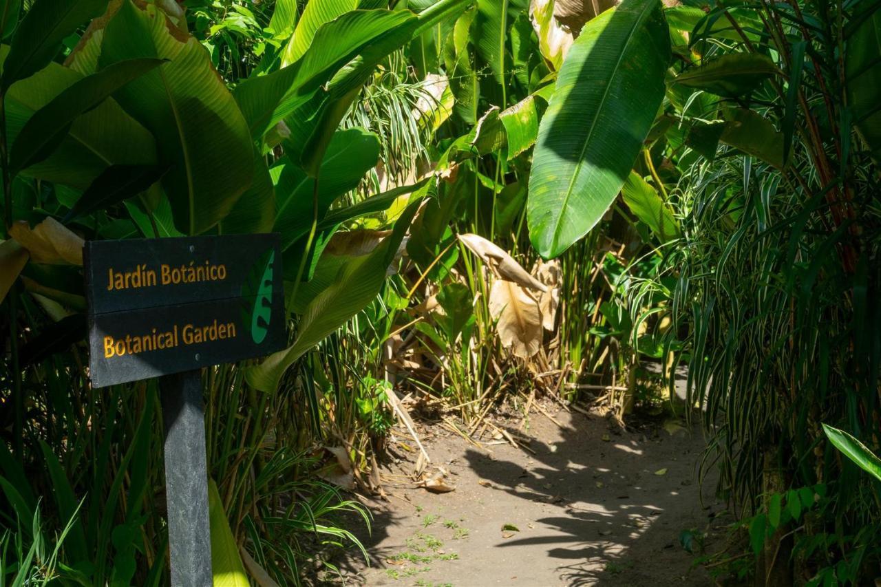 Laguna Lodge Tortuguero Exterior photo